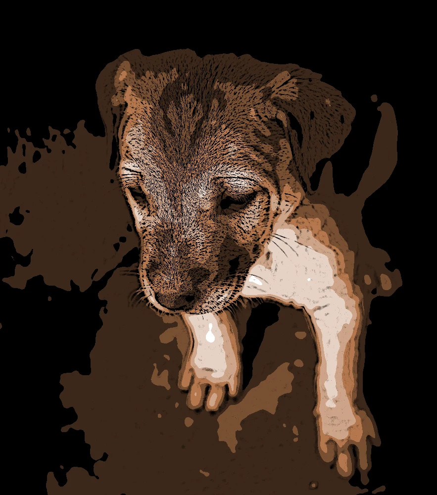 Cartoon Maker result: Tonal shade #b4774d; smoothing 35%, 7 color levels, outline strength 65%.