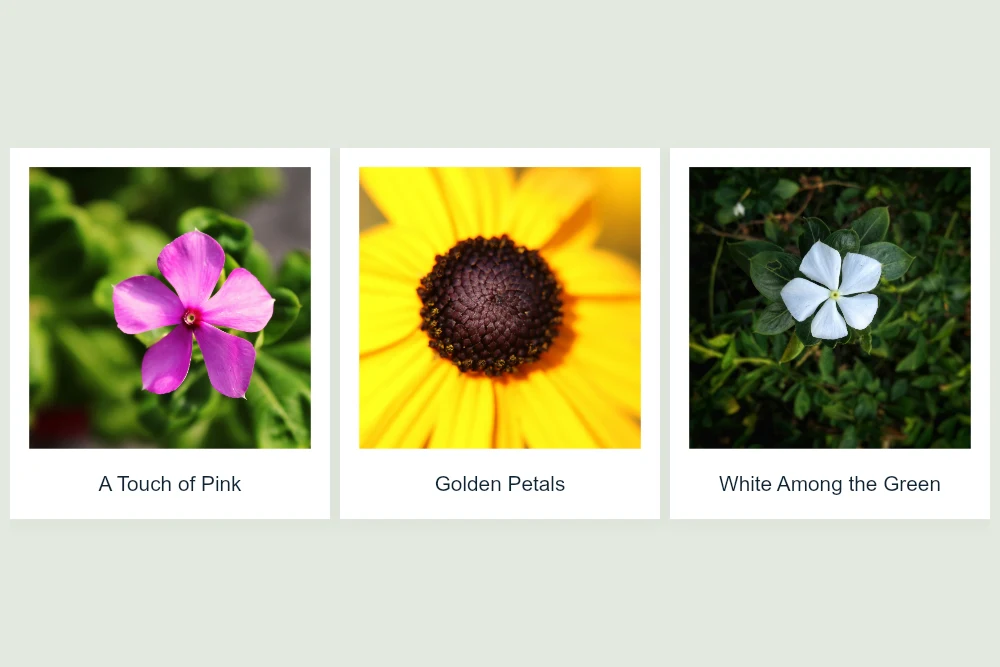 Polaroid Collage result: Three photographs arranged in a neat grid on a landscape canvas, with white frames and captions.