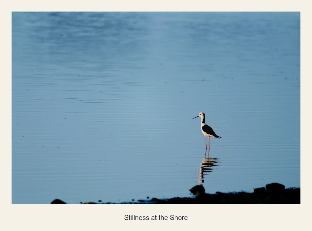 Frame result: Even border, 6% width, warm white frame and a centered caption.