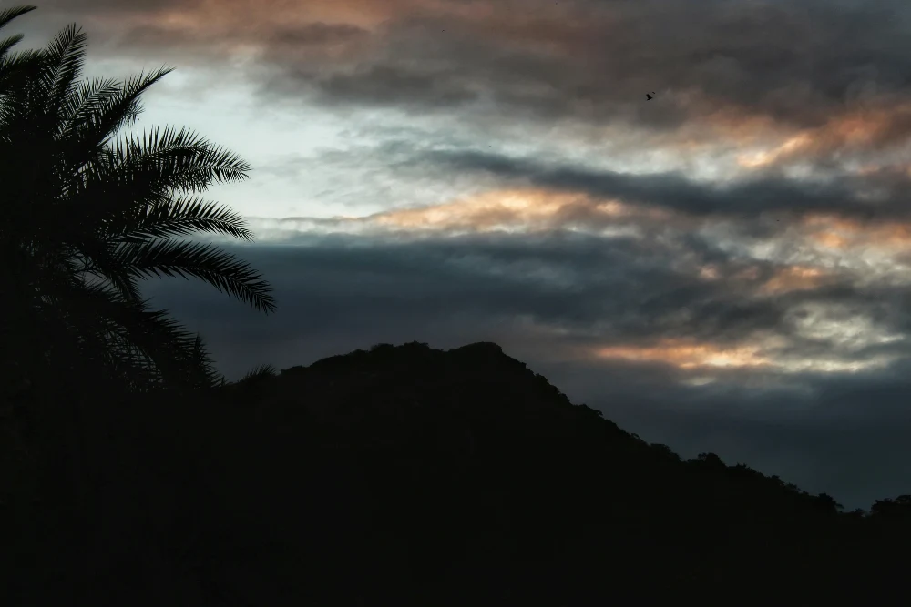 Dark hills and a silhouetted palm sit beneath dramatic layers of evening clouds.