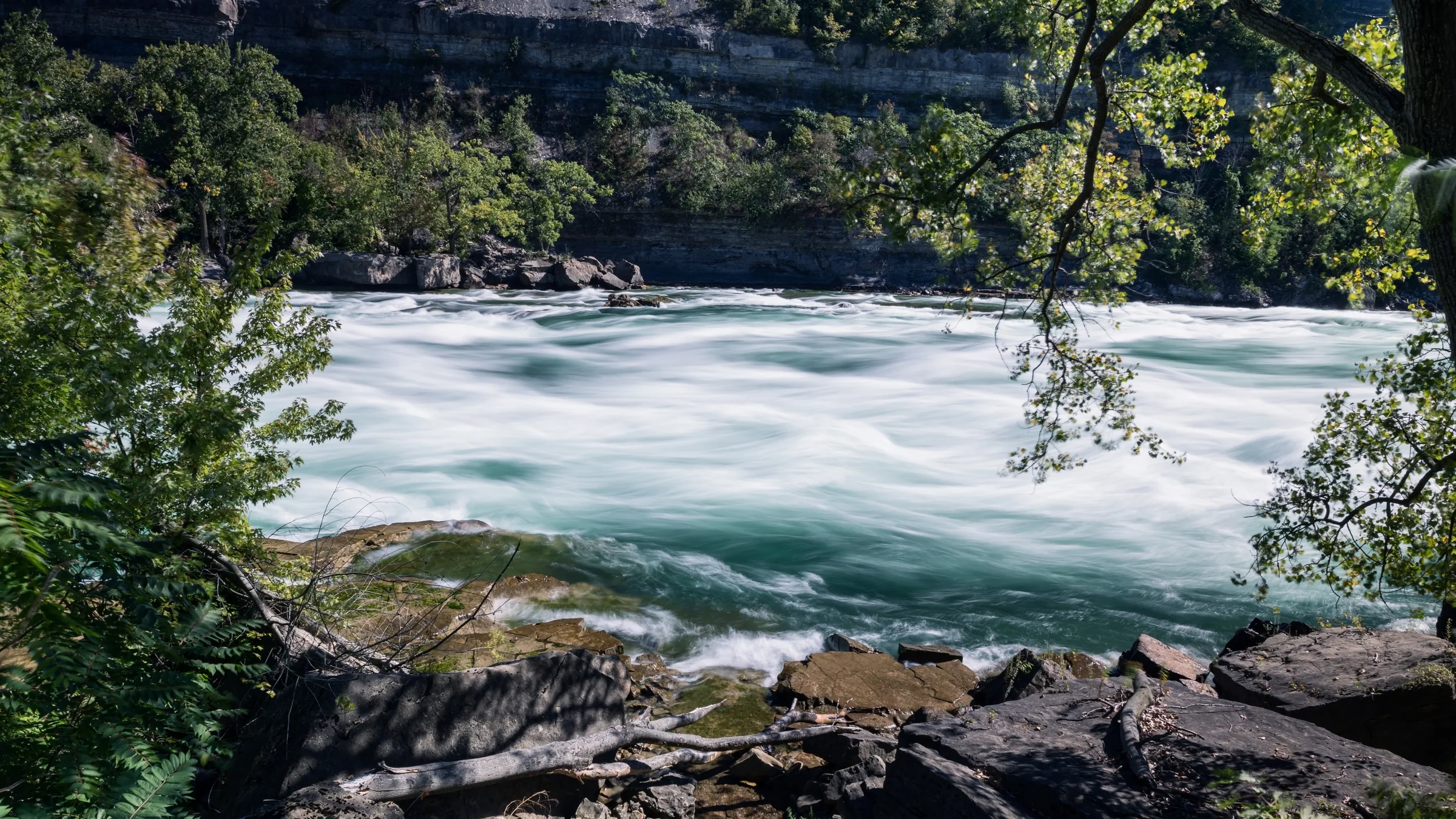 Leafy branches frame a broad stretch of white water in a wooded gorge.