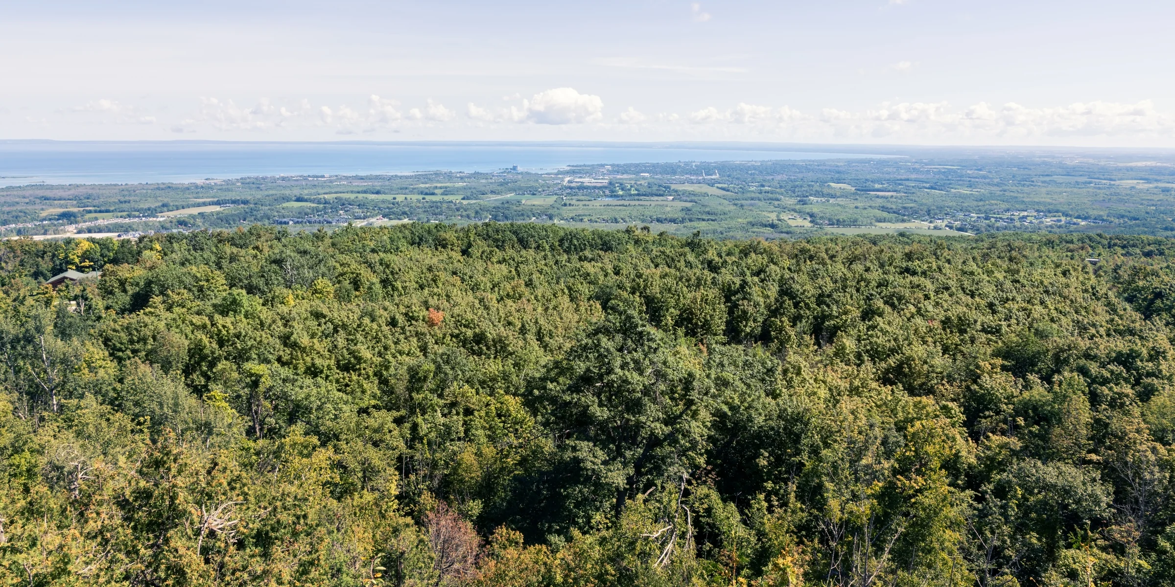An elevated view opens across a broad wooded landscape toward a hazy horizon.