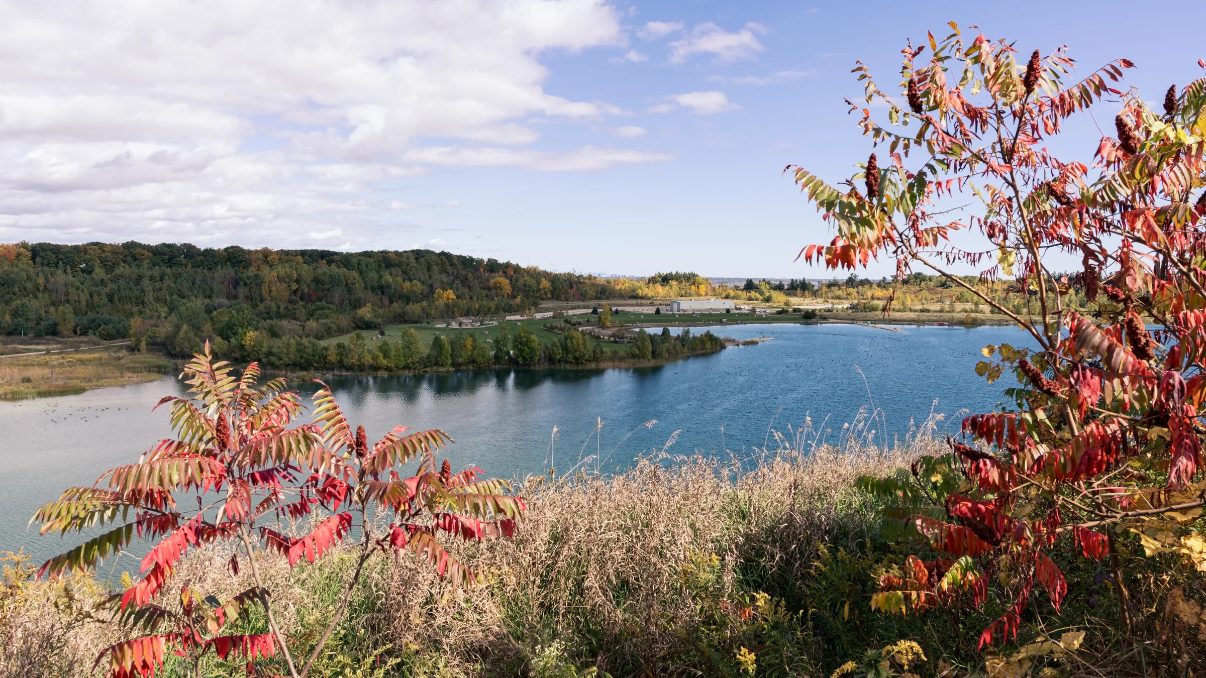 Red leaves frame a blue lake bordered by reeds and distant wooded hills.