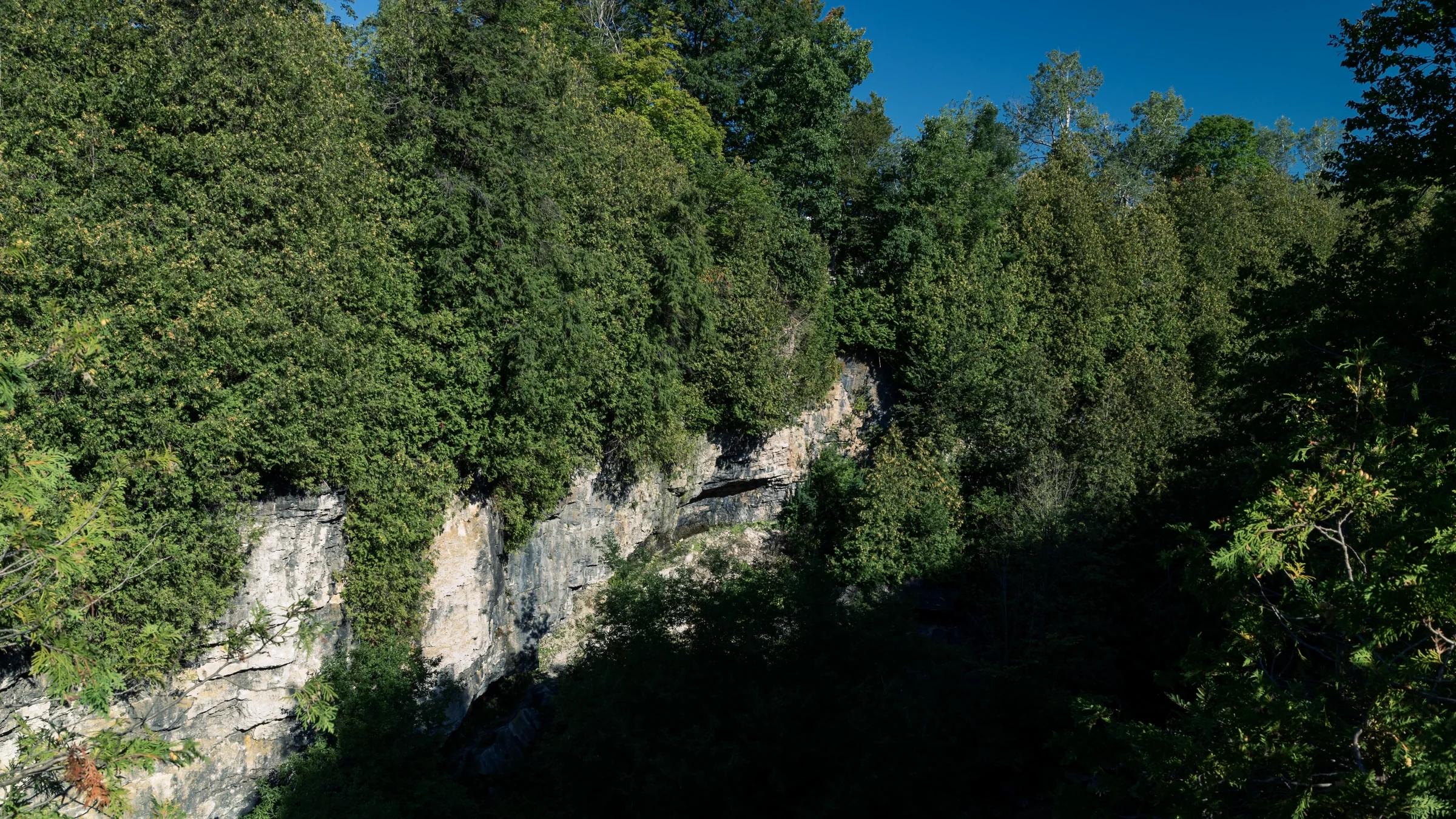 Sunlit rock walls emerge from dense green trees above a deep river gorge.