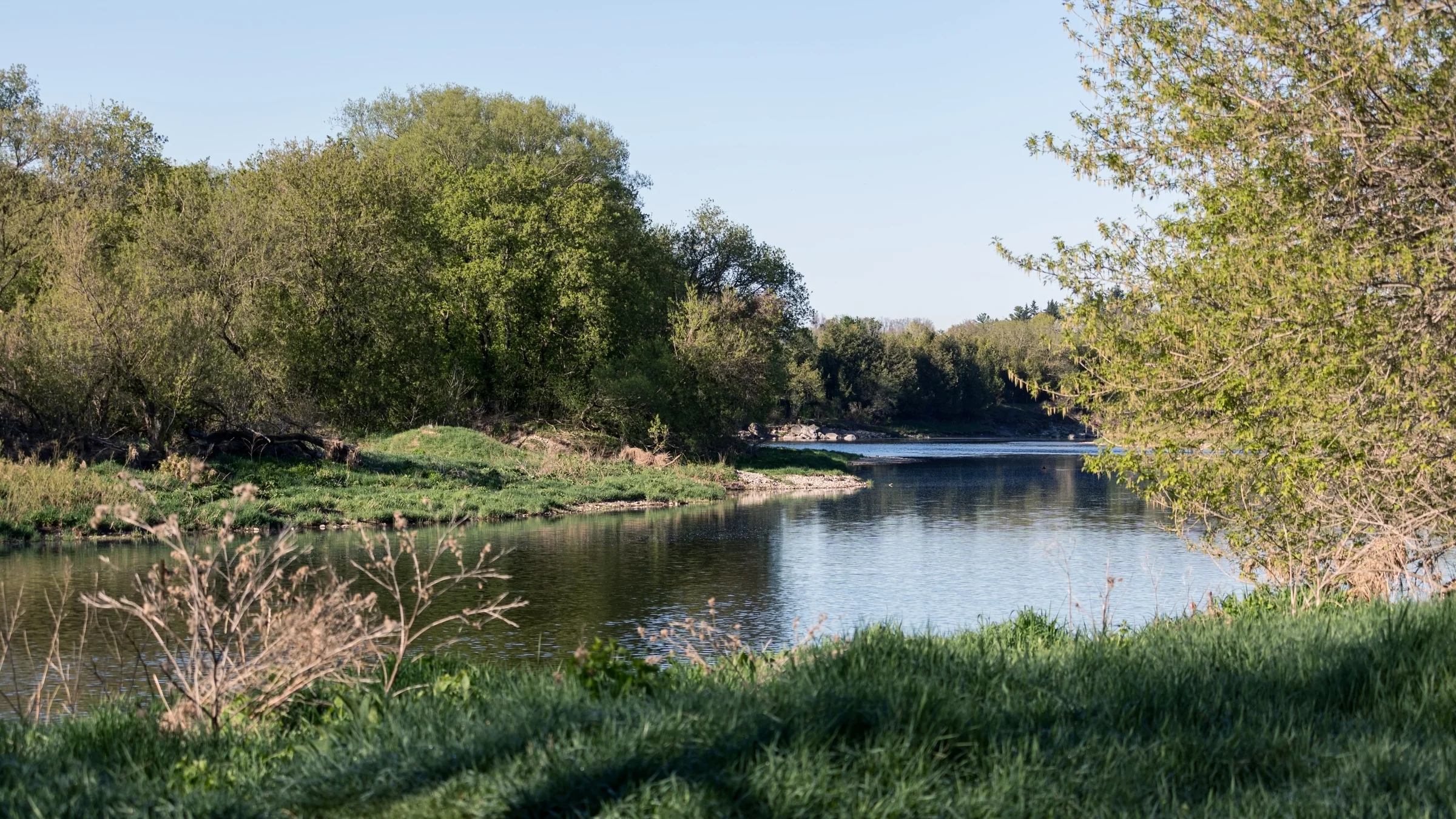 A calm river curves between leafy banks under a clear sky.