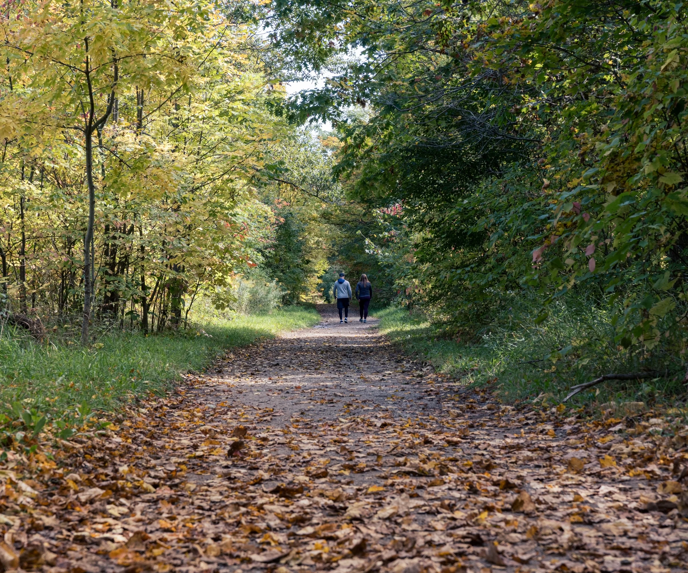 Two walkers follow a leaf-covered trail through trees tinged with yellow and gold.