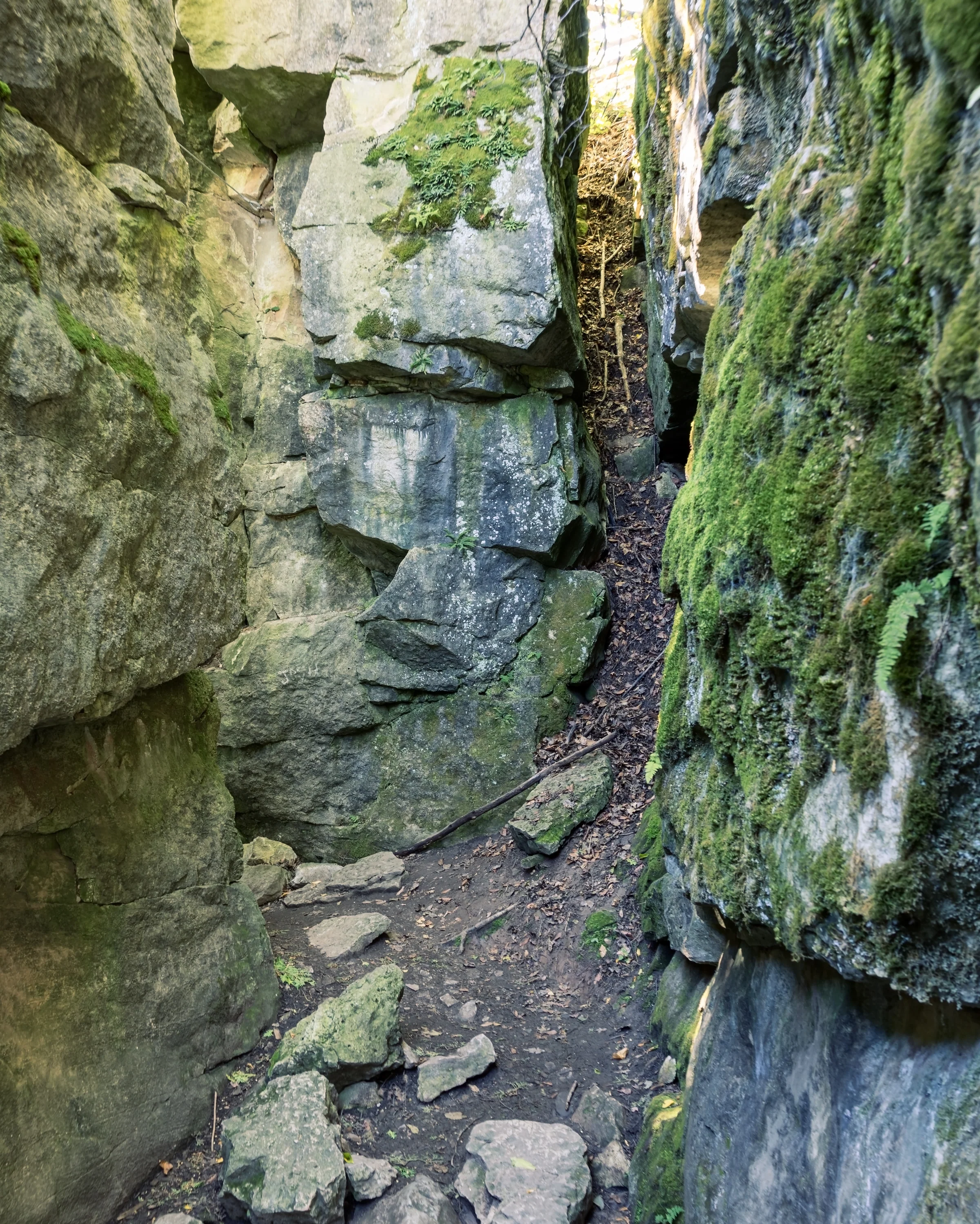 A narrow rocky trail runs between high, moss-covered stone walls.