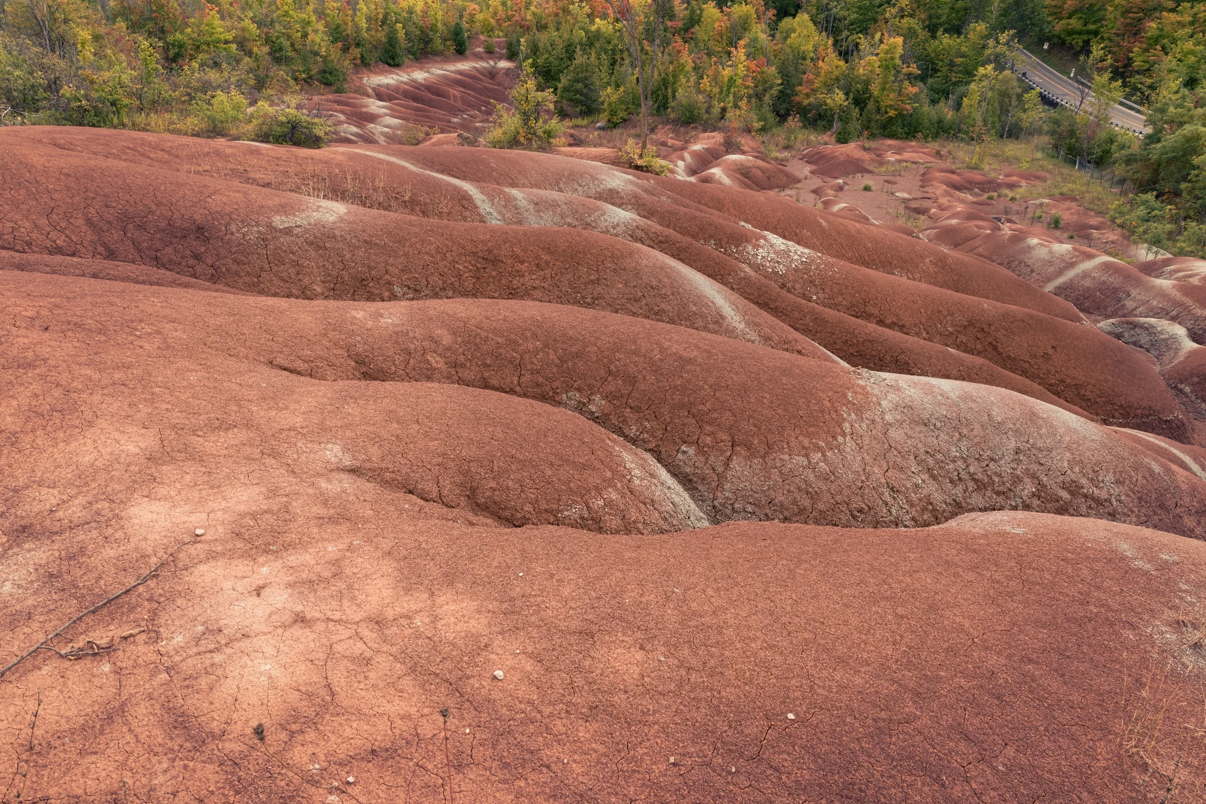 Sunlight reveals smooth curves and deep channels in an expanse of red earth.