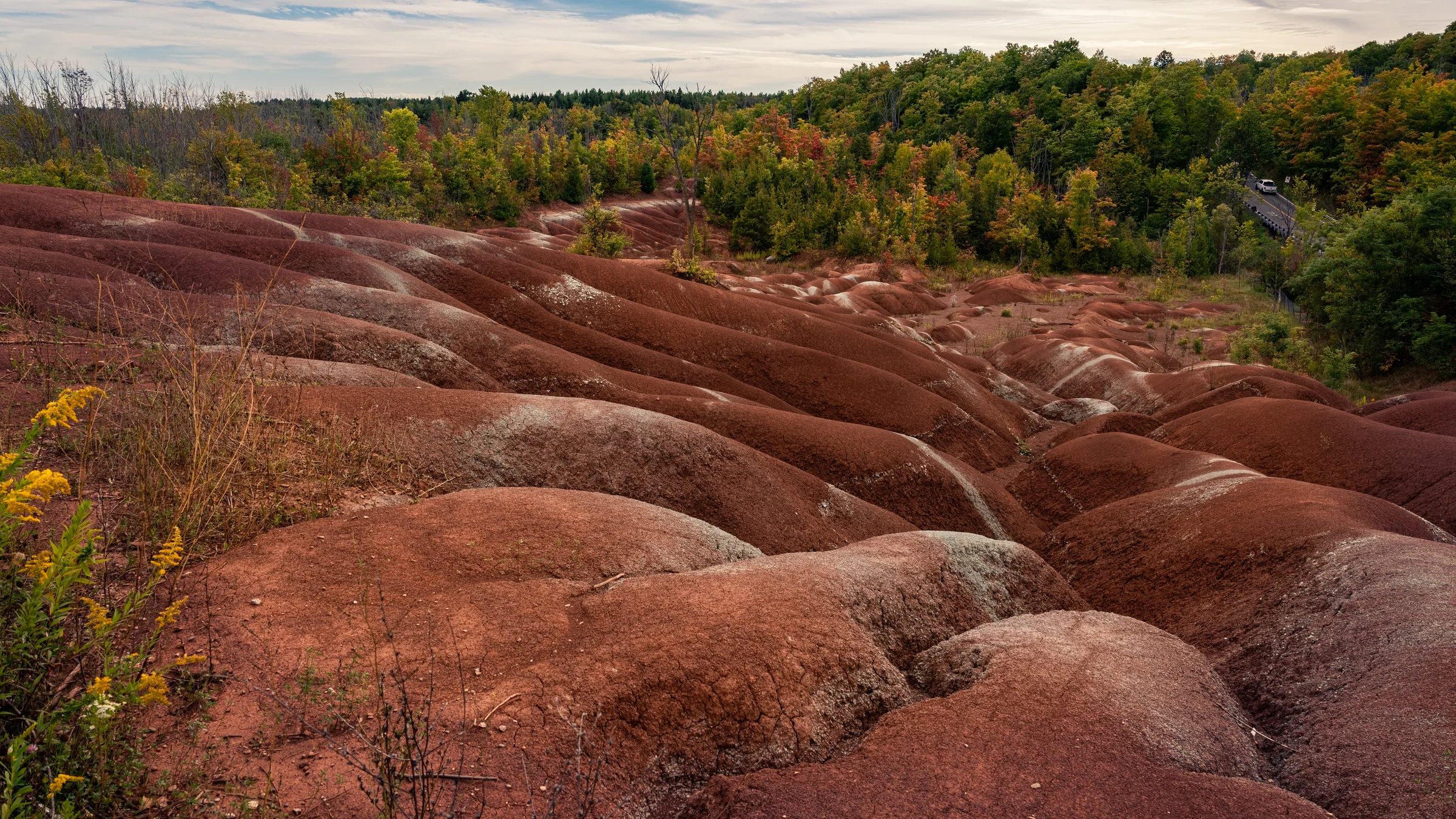 Rounded red earth ridges undulate toward a wooded horizon edged with autumn colour.