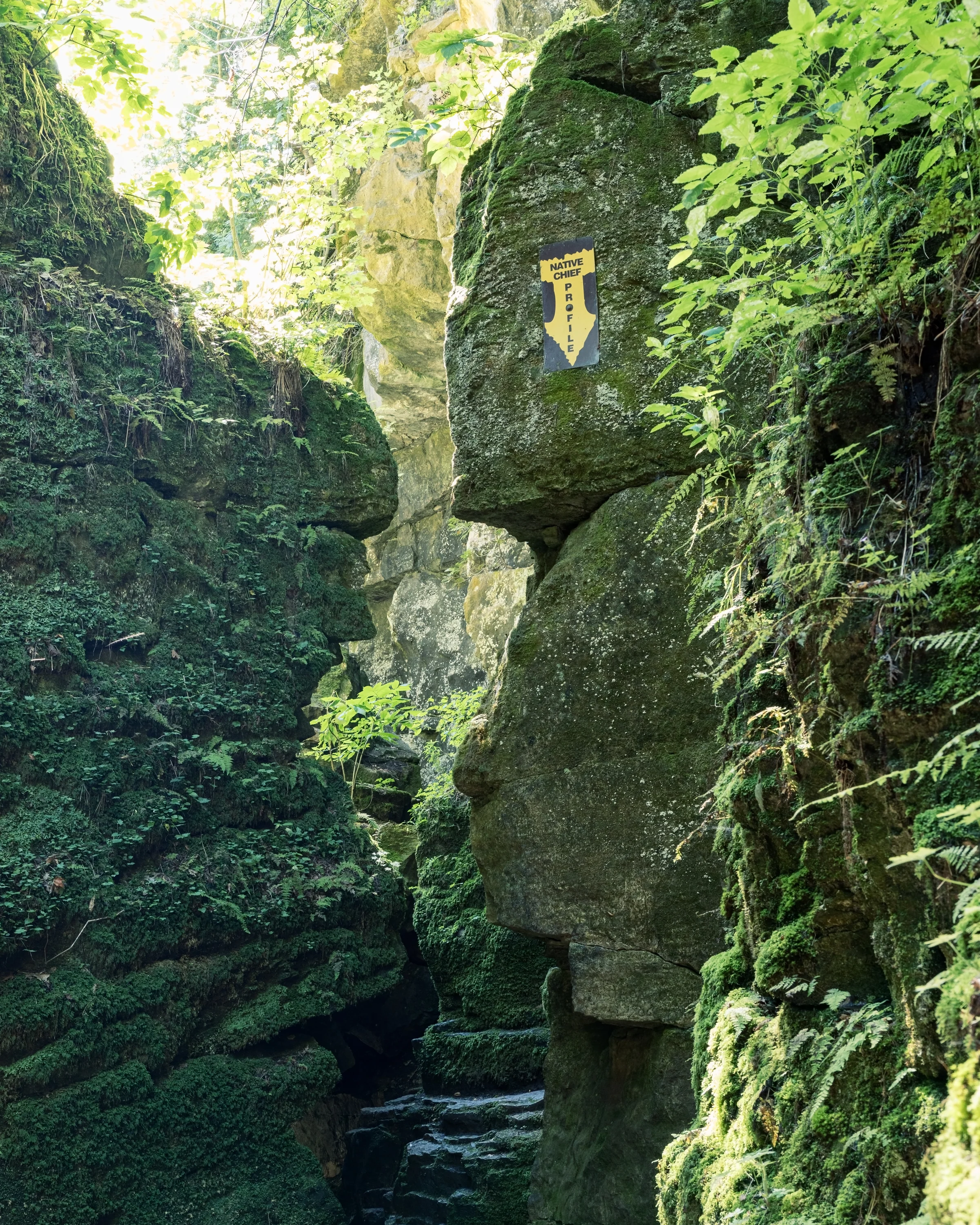 A narrow ravine leads between tall rock walls draped in moss and small plants.