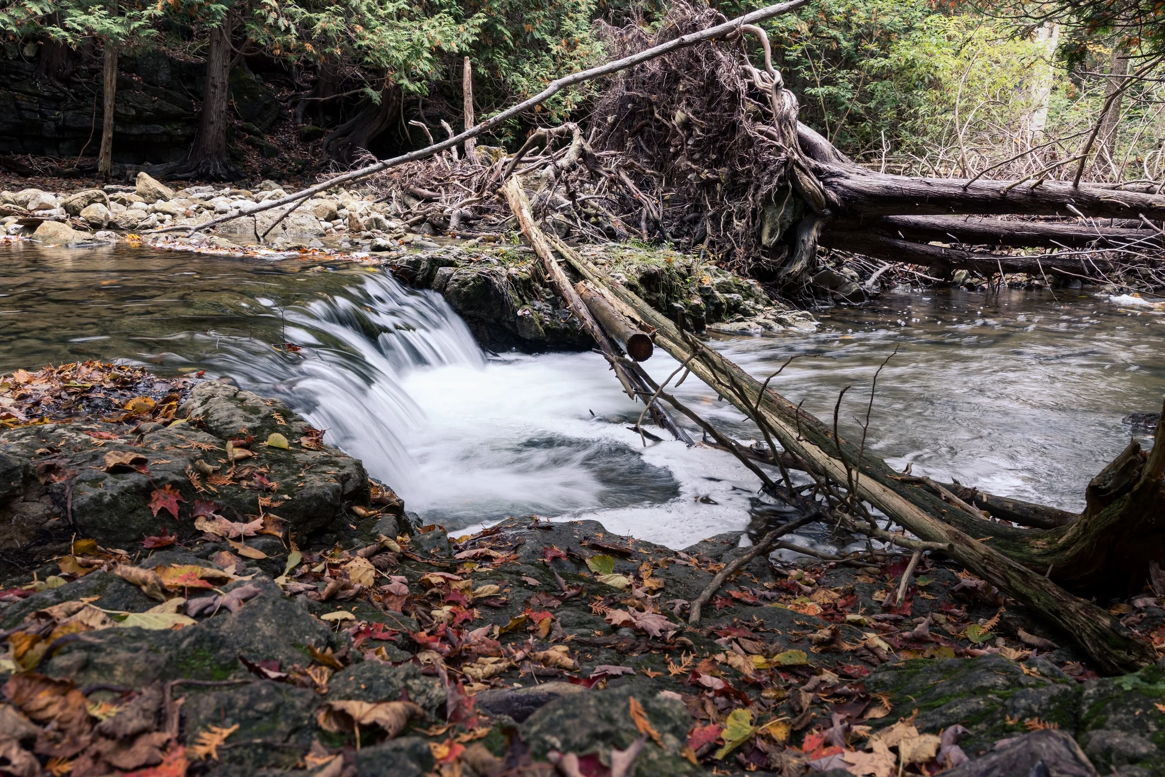 Water spills over a low ledge beneath exposed roots and fallen branches.