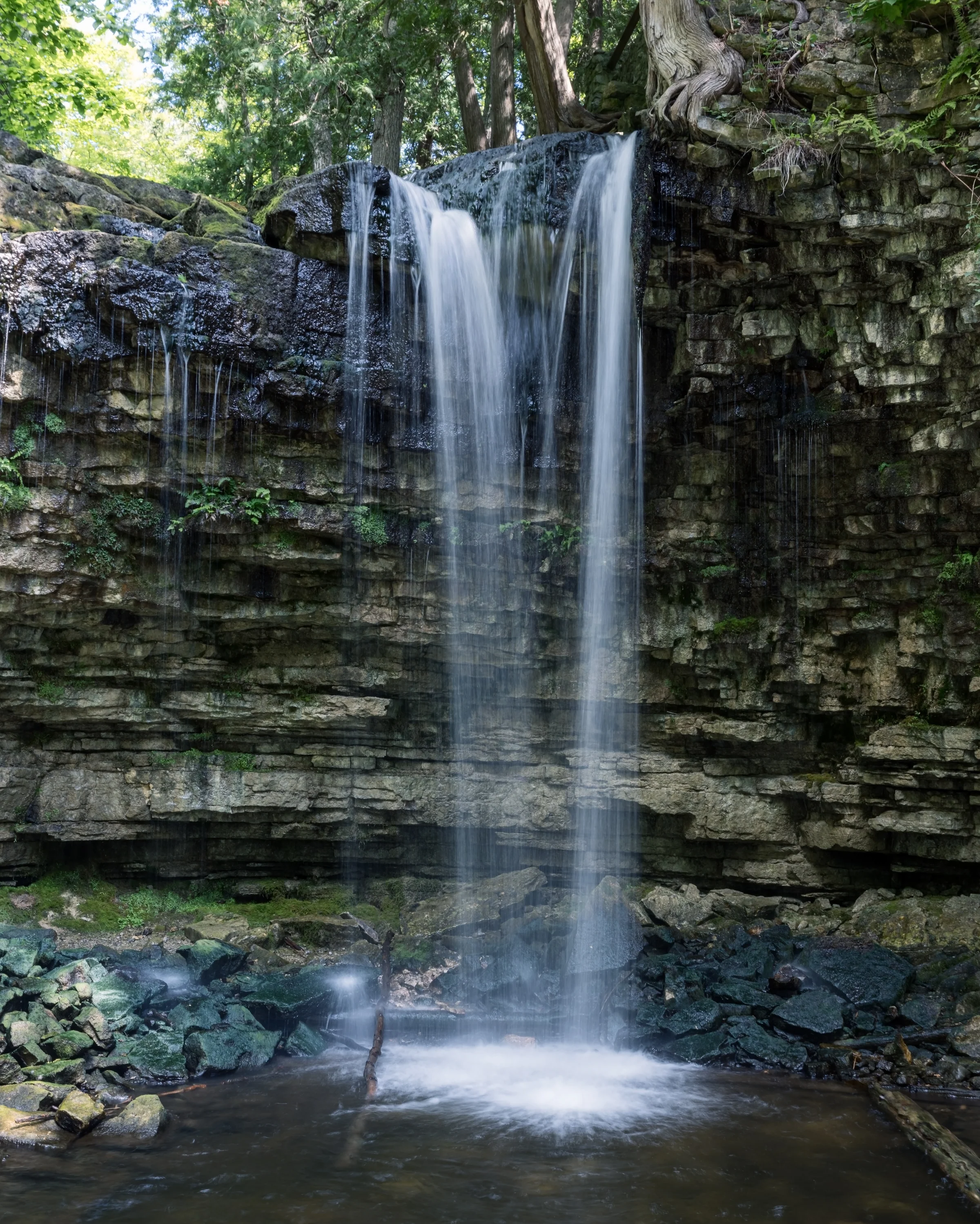 A straight waterfall drops over a dark ledge into a rocky woodland pool.