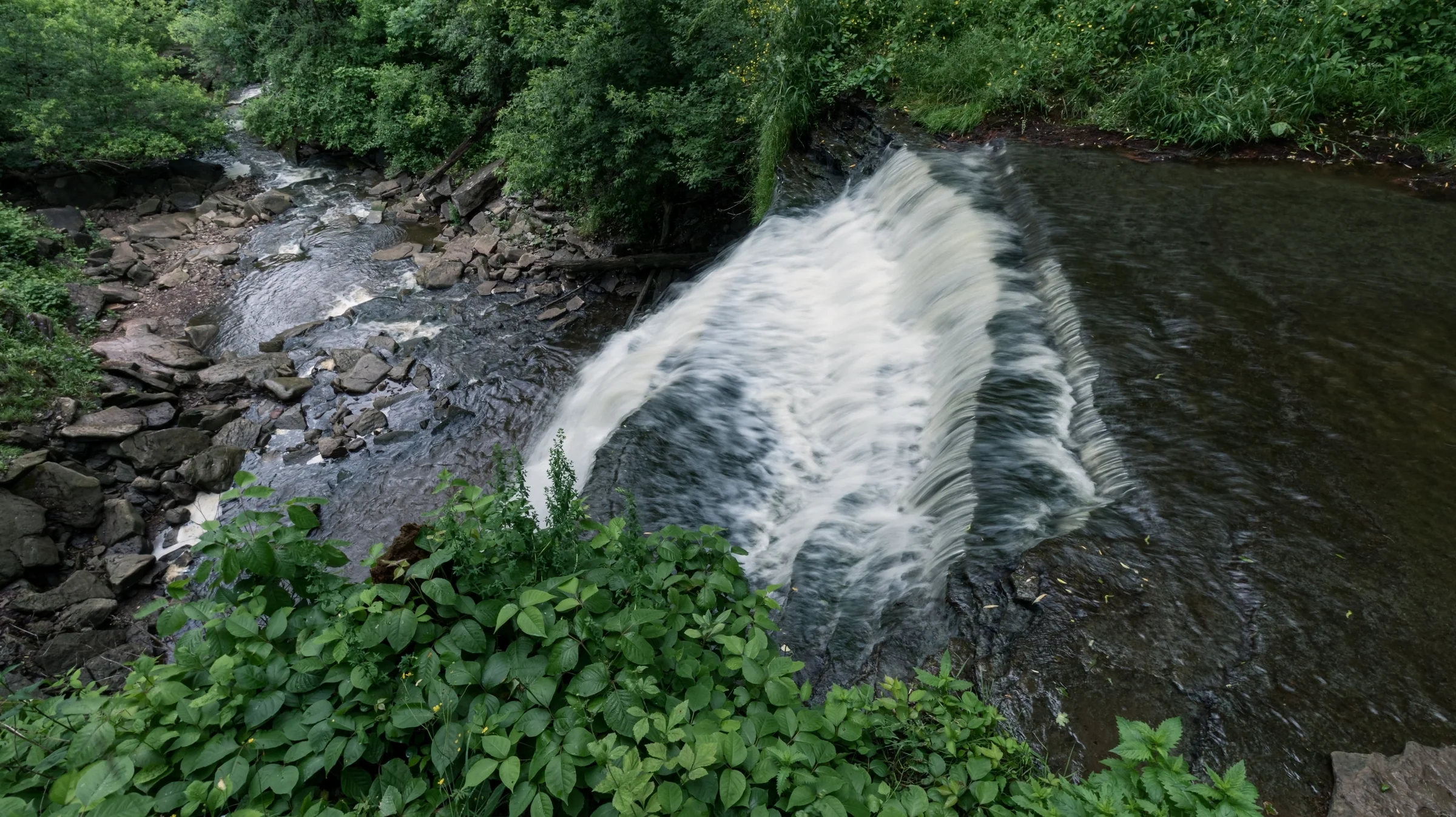 Water fans over a broad rock shelf into a shaded woodland stream.