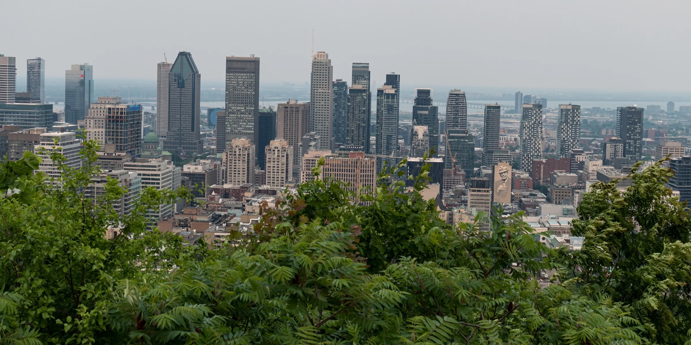 A broad city skyline stretches above a foreground of green treetops.