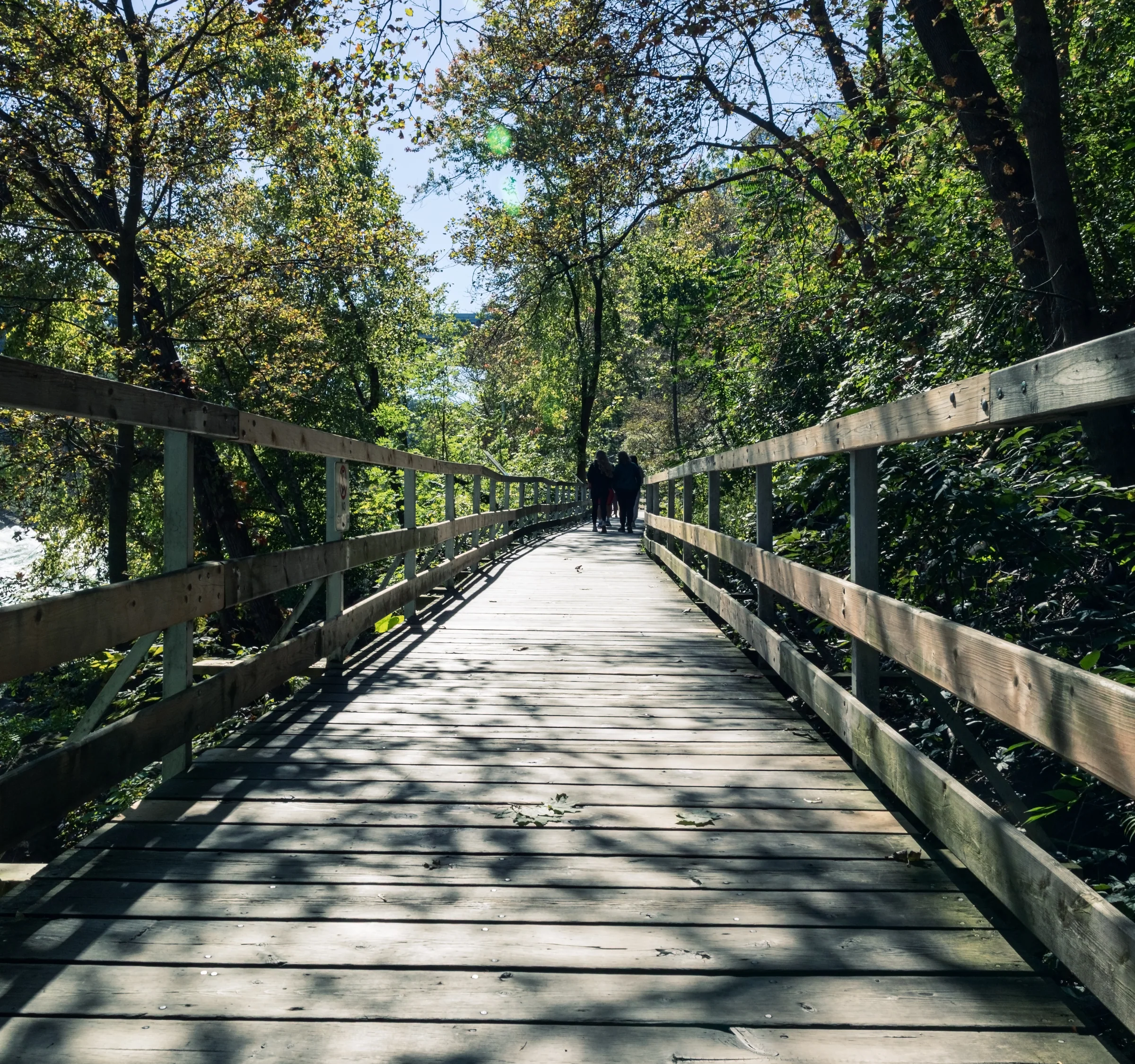 A wooden walkway leads through trees beside a fast-flowing turquoise river.