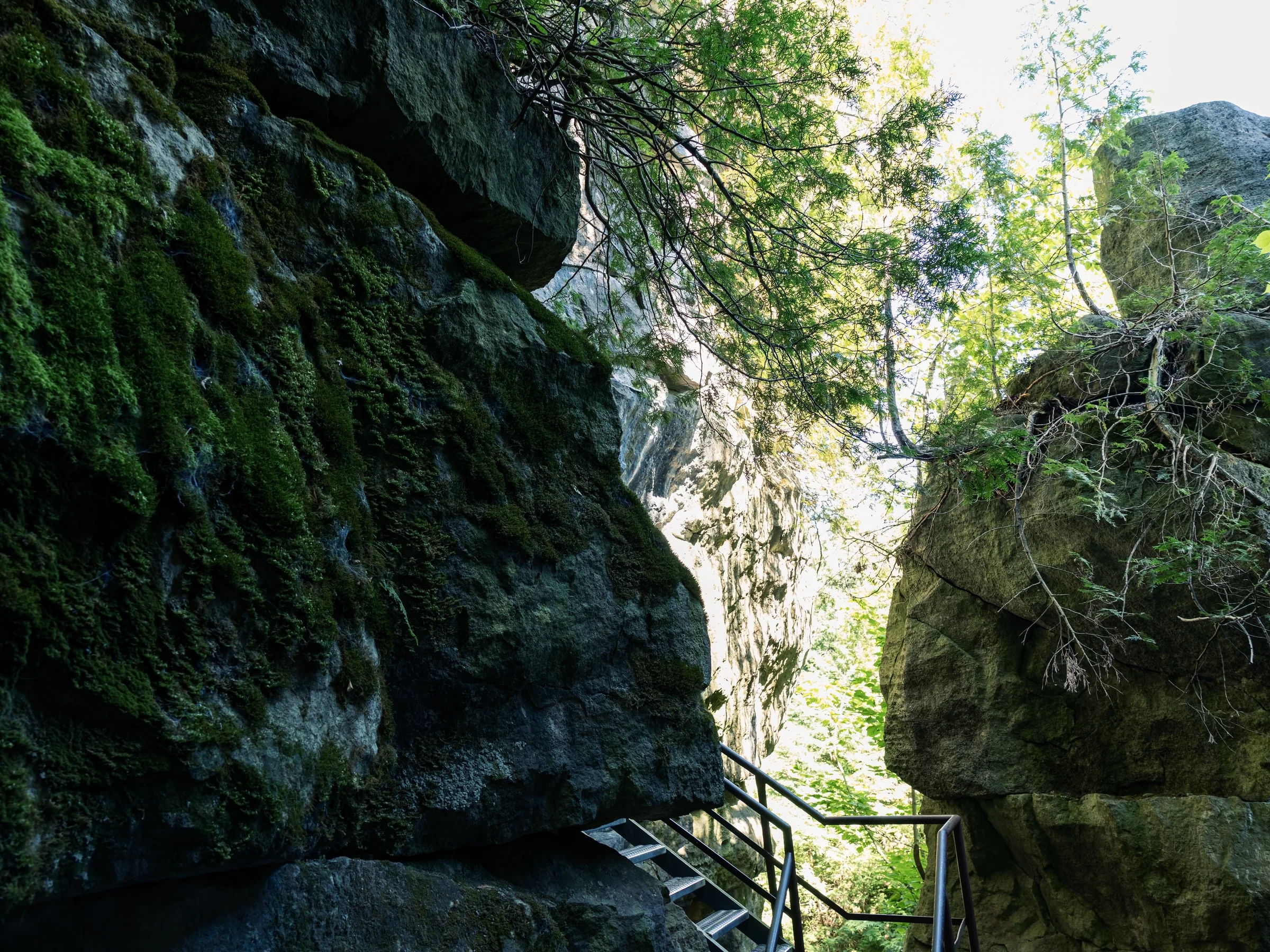 A railing follows a narrow passage between tall rock walls toward bright woodland.