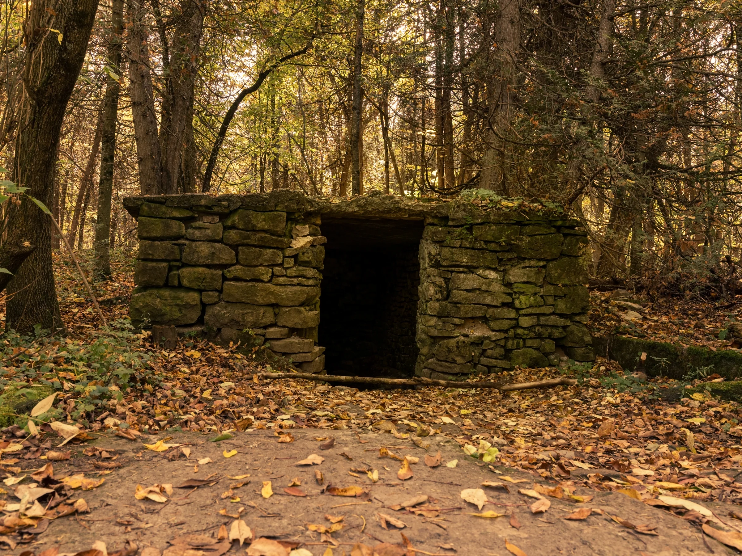 A small stone structure with a dark doorway stands among trees and fallen autumn leaves.
