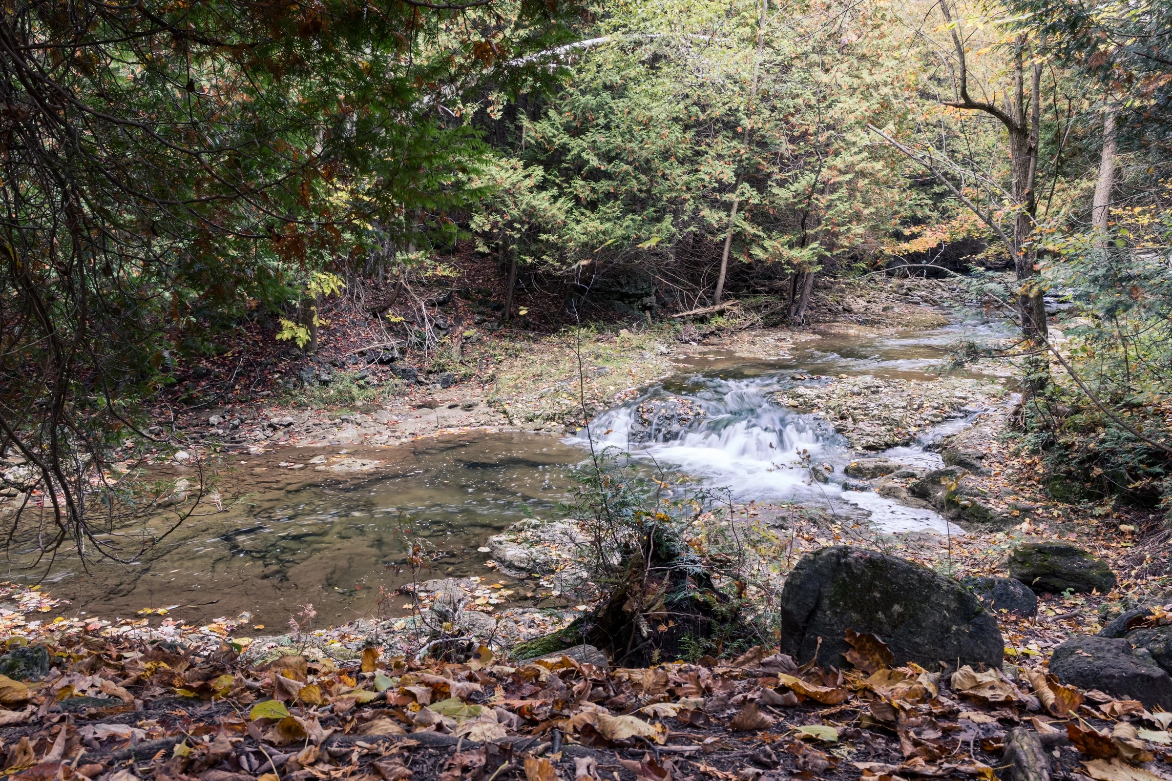 A shallow rocky stream passes through an autumn woodland scattered with leaves.