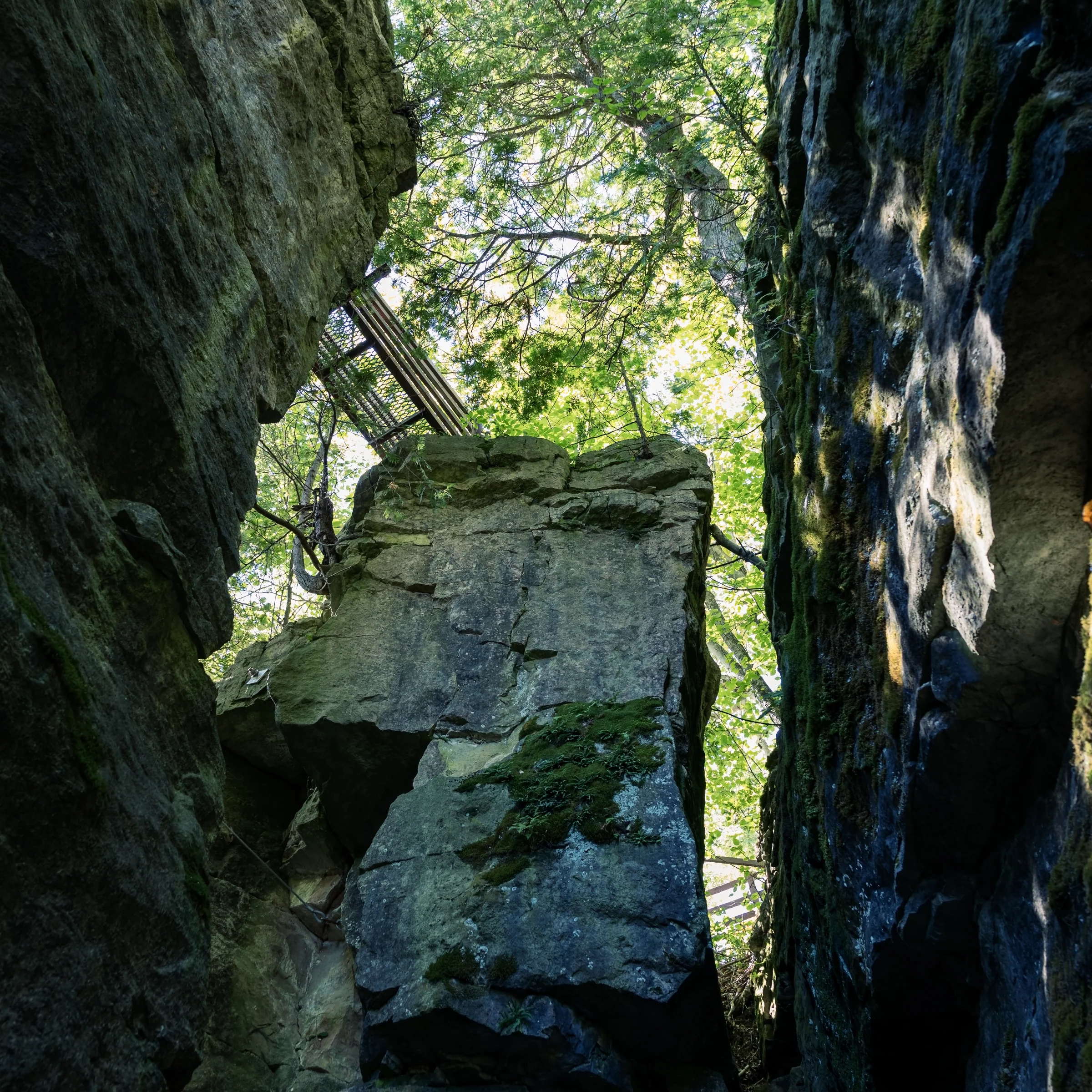 Large angular boulders fill a narrow crevice beneath a shaded forest canopy.