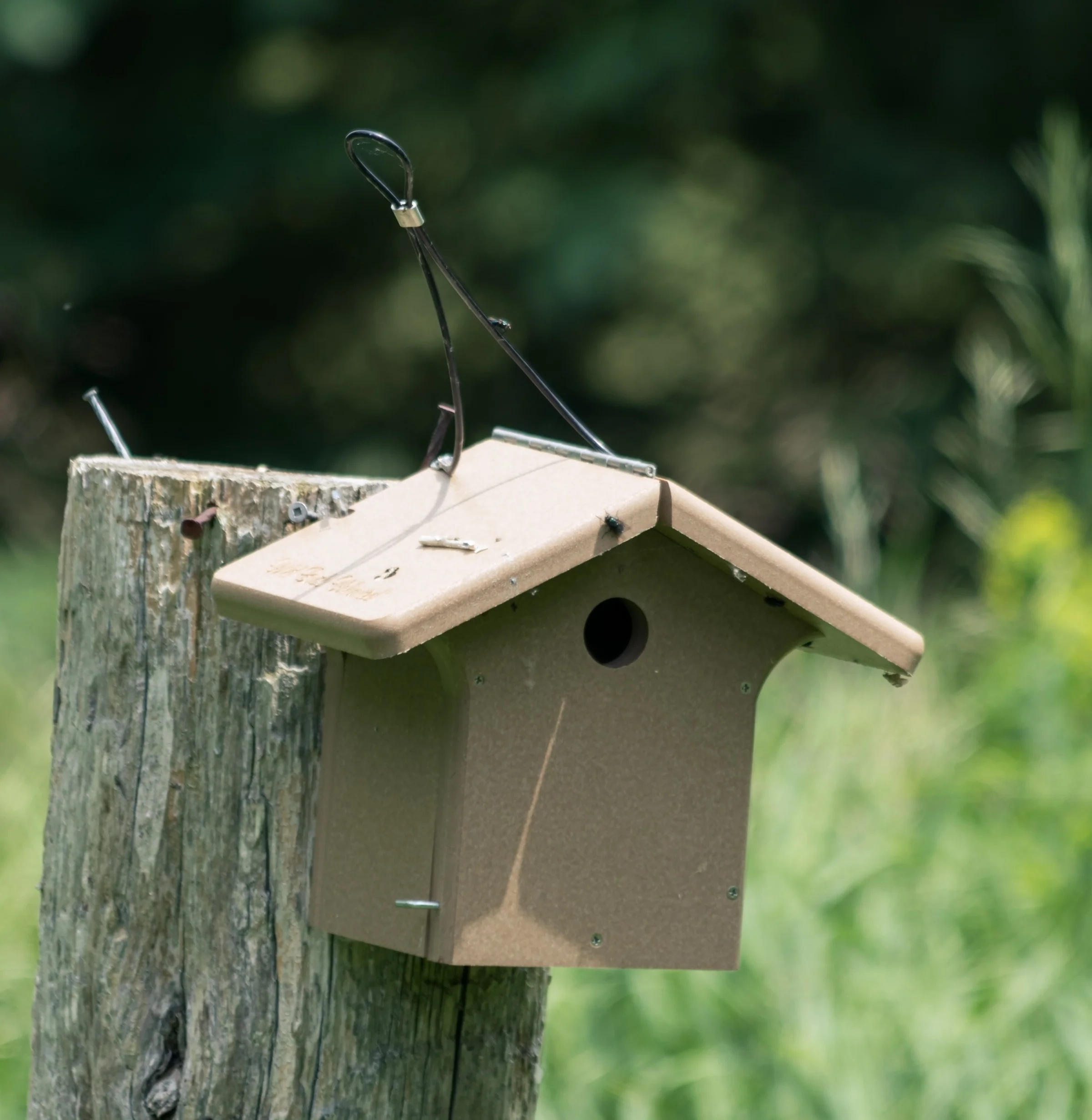 A wooden birdhouse hangs beside a post beneath a canopy of green foliage.