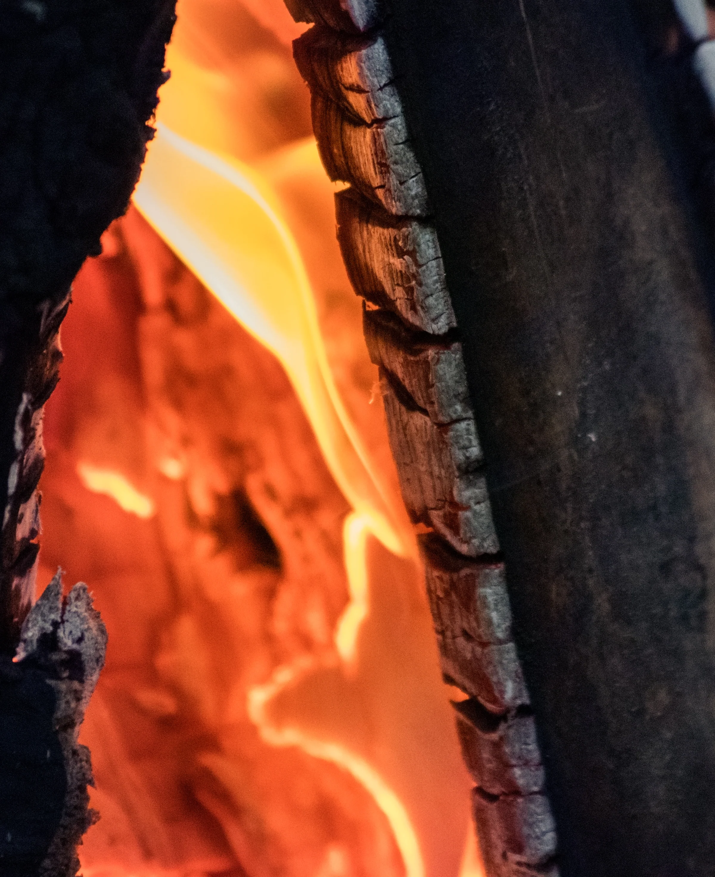 A bright orange flame curls between dark pieces of charred wood.