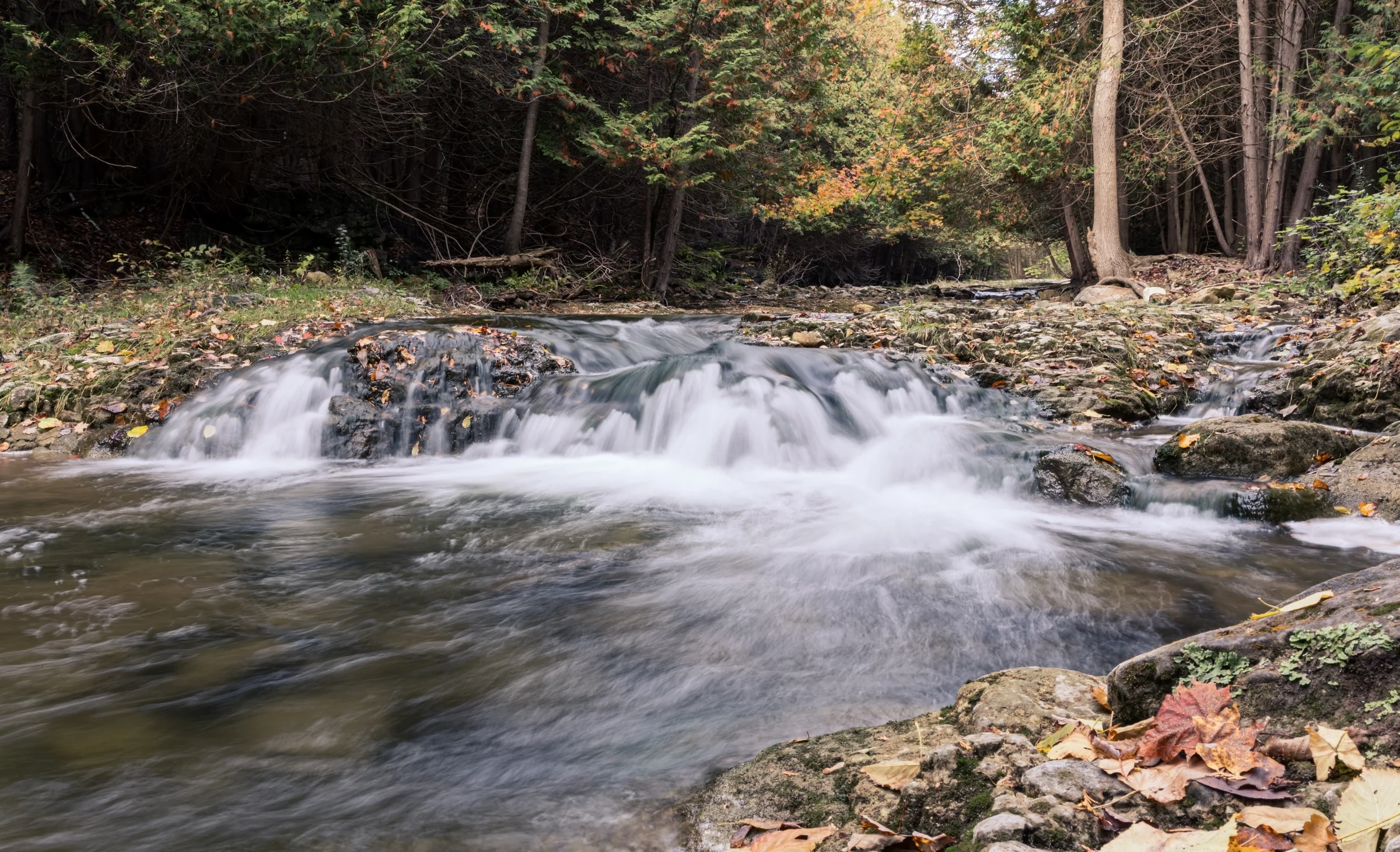 A shallow cascade flows over rocks surrounded by brown leaves and trees.