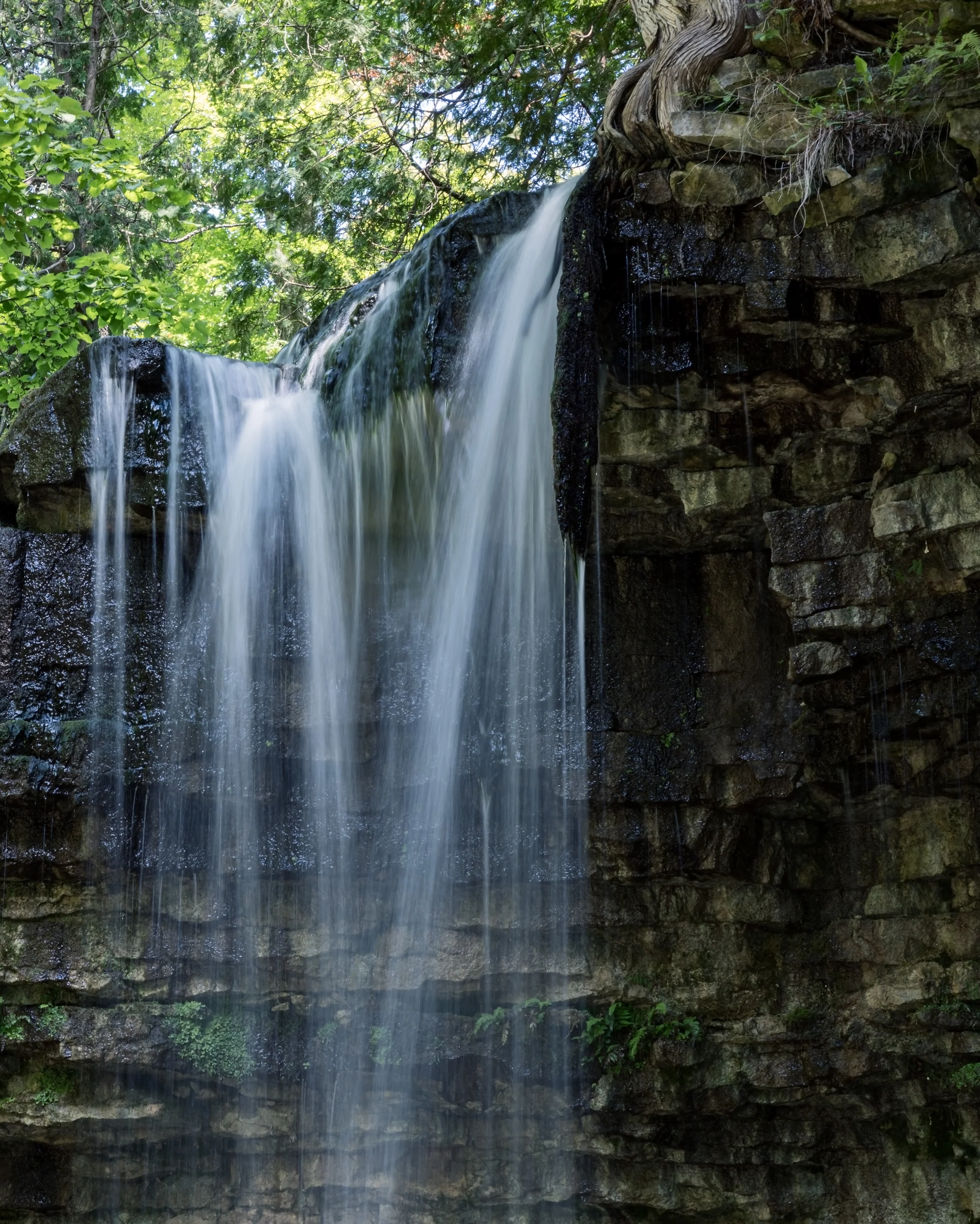 Soft ribbons of water descend across a layered rock wall beneath green trees.