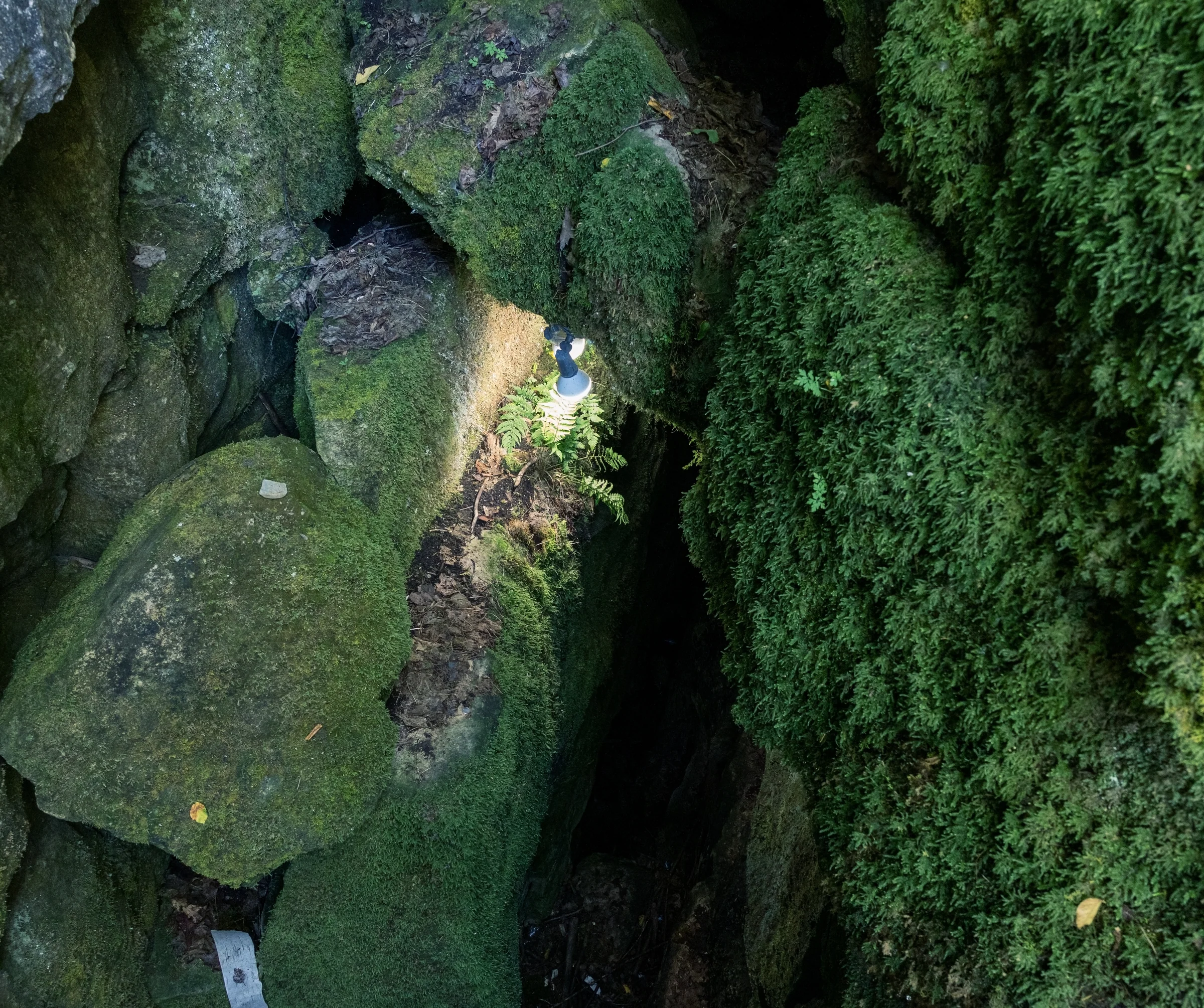 A deep fissure cuts between richly textured green moss-covered rocks.