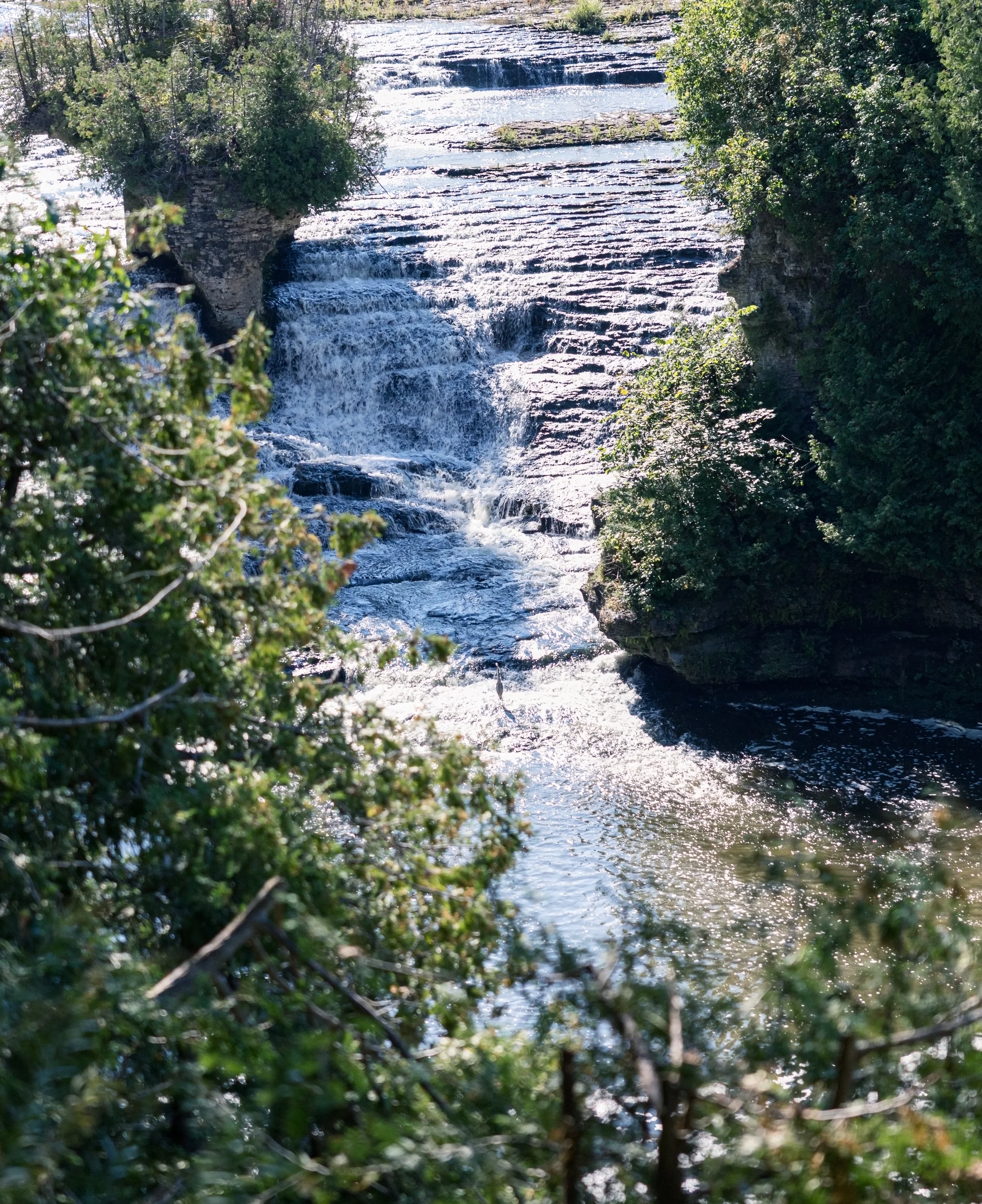 A narrow cascade descends through a rocky gorge framed by trees.