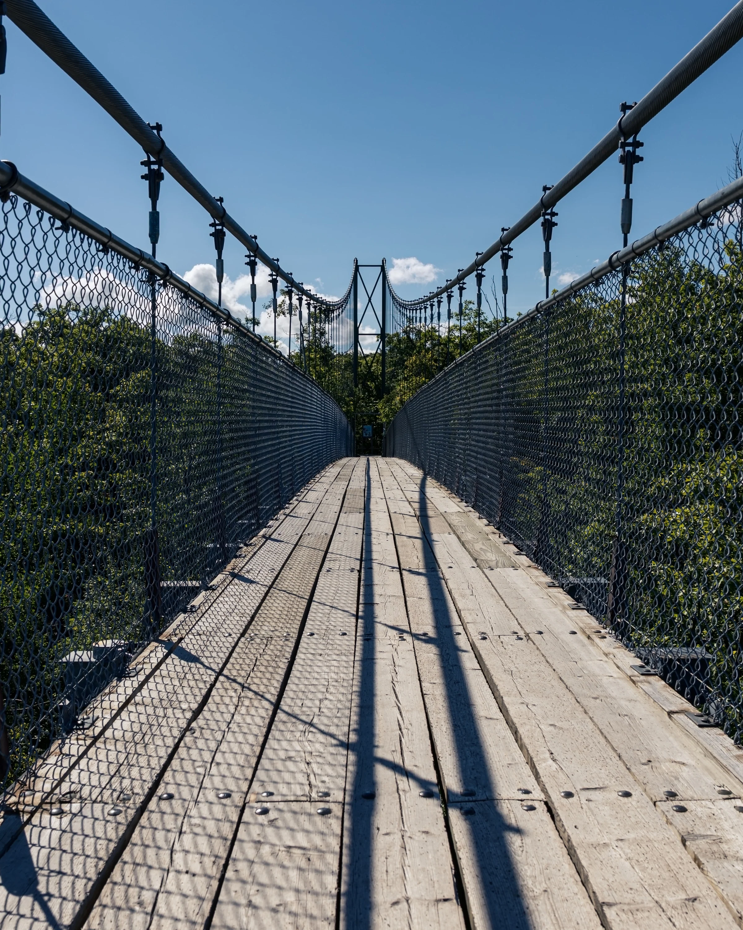 Wooden planks and wire-mesh rails converge toward the far end of a suspension footbridge.